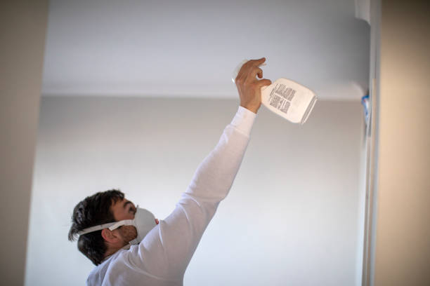 Best Fast Mold Removal  in Pickens, SC